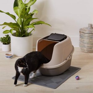 Amazonベーシックの猫トイレ