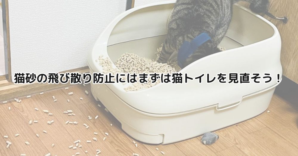 猫砂の飛び散り防止にはまずは猫トイレを見直そう！